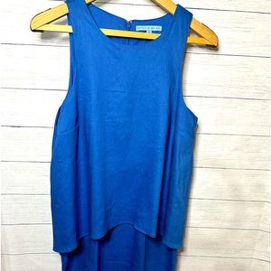 Antoio Melani Blue Dress